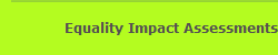 Equality Impact Assessments
